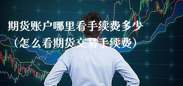 期货账户哪里看手续费多少（怎么看期货交易手续费）_https://www.cqckcrrc.com_财经要闻_第1张