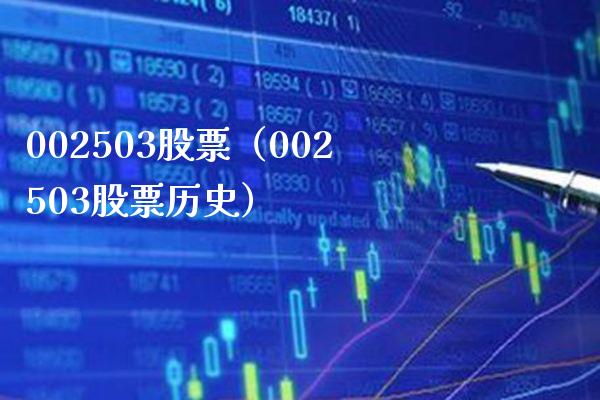 002503股票（002503股票历史）_https://www.cqckcrrc.com_股票理财_第1张
