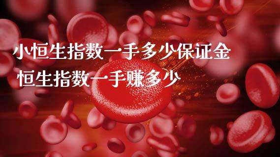 小恒生指数一手多少保证金 恒生指数一手赚多少_https://www.cqckcrrc.com_恒生指数_第1张