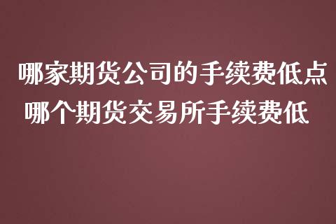 哪家期货公司的手续费低点 哪个期货交易所手续费低_https://www.cqckcrrc.com_黄金期货_第1张