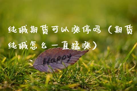 纯碱期货可以涨停吗(期货纯碱怎么一直猛涨)_期货开户_第1张_期货投资网 纯碱期货可以涨停吗(期货纯碱怎么一直猛涨)_https://www.cqckcrrc.com_期货开户_第1张