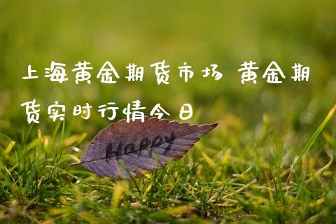 上海黄金期货市场 黄金期货实时行情今日_https://www.cqckcrrc.com_黄金期货_第1张