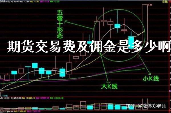 期货交易费及佣金是多少啊_https://www.cqckcrrc.com_黄金期货_第1张