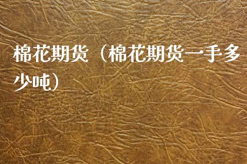 棉花期货(棉花期货一手多少吨)_基金理财_第1张_期货投资网 棉花期货(棉花期货一手多少吨)_https://www.cqckcrrc.com_基金理财_第1张