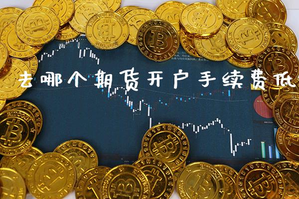 去哪个期货开户手续费低_https://www.cqckcrrc.com_黄金期货_第1张