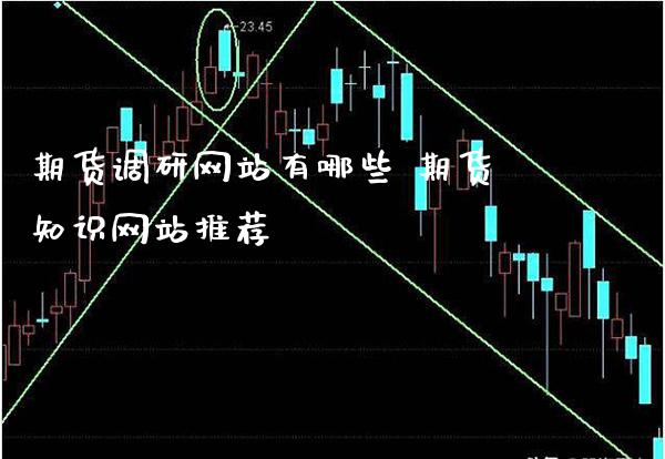 期货调研网站有哪些 期货知识网站推荐_https://www.cqckcrrc.com_纳指直播_第1张