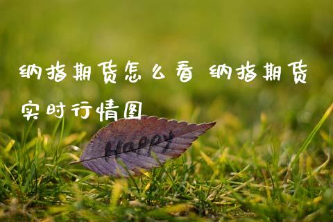 纳指期货怎么看 纳指期货实时行情图_纳指直播_第1张_期货投资网 纳指期货怎么看 纳指期货实时行情图_https://www.cqckcrrc.com_纳指直播_第1张