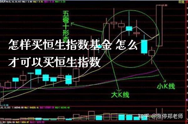怎样买恒生指数基金 怎么才可以买恒生指数_https://www.cqckcrrc.com_恒生指数_第1张