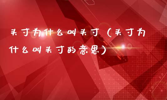 头寸为什么叫头寸(头寸为什么叫头寸的意思)_纳指直播_第1张_期货投资网 头寸为什么叫头寸(头寸为什么叫头寸的意思)_https://www.cqckcrrc.com_纳指直播_第1张