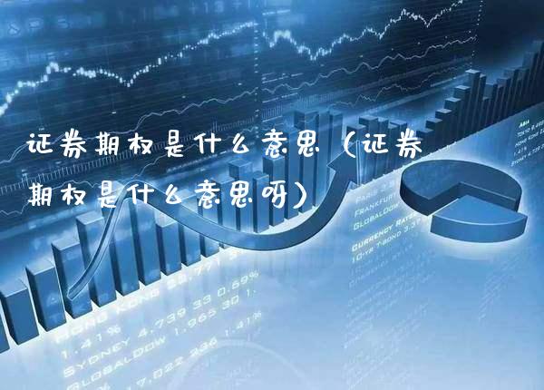 证券期权是什么意思（证券期权是什么意思呀）_https://www.cqckcrrc.com_恒生指数_第1张