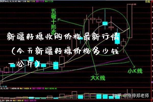 新疆籽棉收购价格最新行情(今天新疆籽棉价格多少钱一公斤)_黄金期货_第1张_期货投资网 新疆籽棉收购价格最新行情(今天新疆籽棉价格多少钱一公斤)_https://www.cqckcrrc.com_黄金期货_第1张