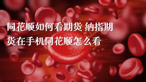 同花顺如何看期货 纳指期货在手机同花顺怎么看_纳指直播_第1张_期货投资网 同花顺如何看期货 纳指期货在手机同花顺怎么看_https://www.cqckcrrc.com_纳指直播_第1张