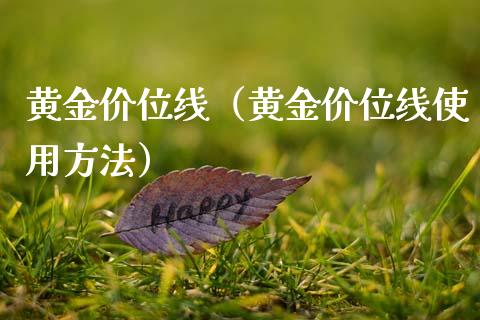黄金价位线（黄金价位线使用方法）_https://www.cqckcrrc.com_黄金期货_第1张