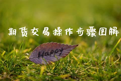 期货交易操作步骤图解_道指直播_第1张_期货投资网 期货交易操作步骤图解_https://www.cqckcrrc.com_道指直播_第1张
