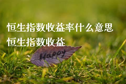 恒生指数收益率什么意思 恒生指数收益_https://www.cqckcrrc.com_恒生指数_第1张