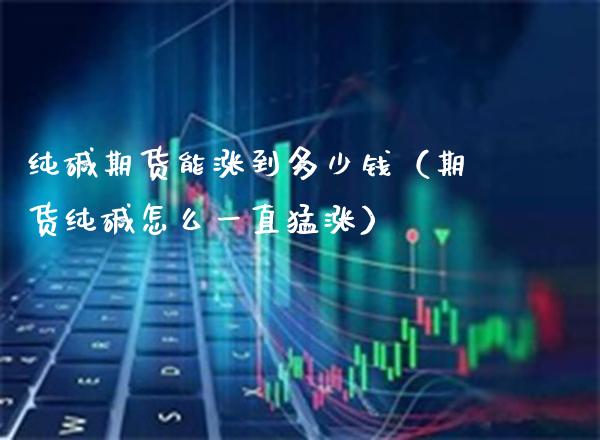 纯碱期货能涨到多少钱（期货纯碱怎么一直猛涨）_https://www.cqckcrrc.com_纳指直播_第1张