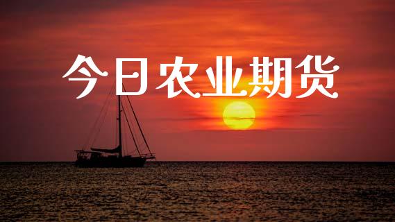 今日农业期货_https://www.cqckcrrc.com_道指直播_第1张