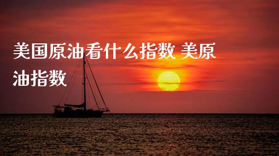 美国原油看什么指数 美原油指数_https://www.cqckcrrc.com_道指直播_第1张