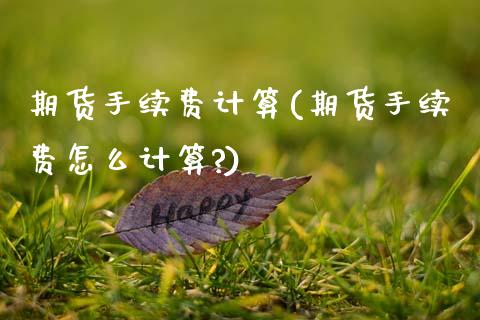 期货手续费计算(期货手续费怎么计算?)_财经直播室_第1张_期货投资网 期货手续费计算(期货手续费怎么计算?)_https://www.cqckcrrc.com_财经直播室_第1张