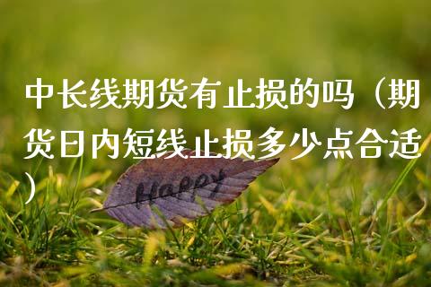 中长线期货有止损的吗（期货日内短线止损多少点合适）_https://www.cqckcrrc.com_道指直播_第1张