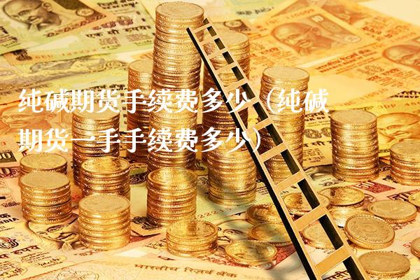 纯碱期货手续费多少（纯碱期货一手手续费多少）_https://www.cqckcrrc.com_纳指直播_第1张