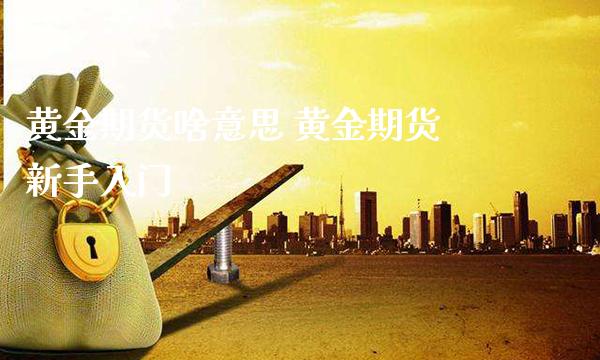 黄金期货啥意思 黄金期货新手入门_https://www.cqckcrrc.com_黄金期货_第1张