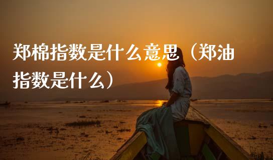 郑棉指数是什么意思(郑油指数是什么)_道指直播_第1张_期货投资网 郑棉指数是什么意思(郑油指数是什么)_https://www.cqckcrrc.com_道指直播_第1张