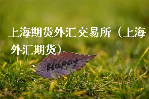 上海期货外汇交易所(上海 外汇期货)_期货理财_第1张_期货投资网 上海期货外汇交易所(上海 外汇期货)_https://www.cqckcrrc.com_期货理财_第1张
