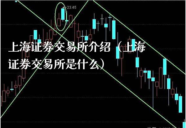 上海证券交易所介绍(上海证券交易所是什么)_黄金期货_第1张_期货投资网 上海证券交易所介绍(上海证券交易所是什么)_https://www.cqckcrrc.com_黄金期货_第1张