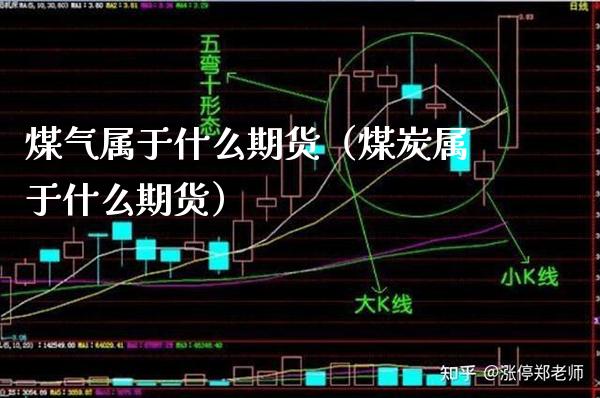 煤气属于什么期货（煤炭属于什么期货）_https://www.cqckcrrc.com_国际期货_第1张