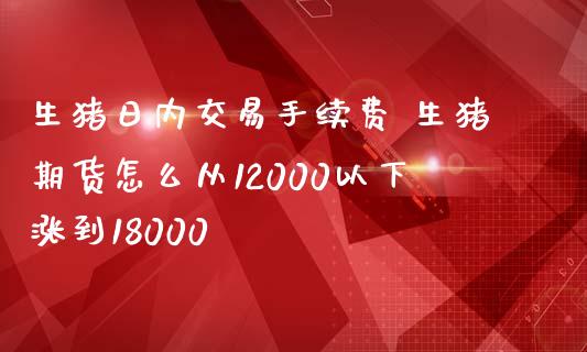 生猪日内交易手续费 生猪期货怎么从12000以下涨到18000_https://www.cqckcrrc.com_纳指直播_第1张