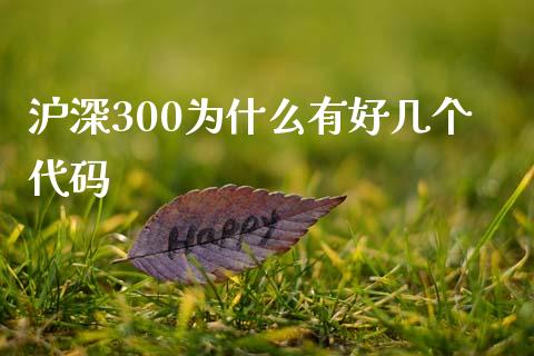 沪深300为什么有好几个代码_黄金期货_第1张_期货投资网 沪深300为什么有好几个代码_https://www.cqckcrrc.com_黄金期货_第1张
