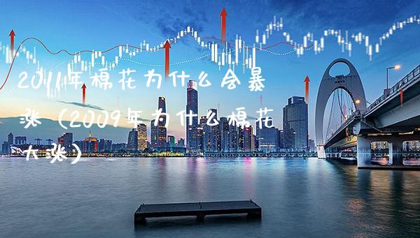 2011年棉花为什么会暴涨(2009年为什么棉花大涨)_原油期货_第1张_期货投资网 2011年棉花为什么会暴涨(2009年为什么棉花大涨)_https://www.cqckcrrc.com_原油期货_第1张