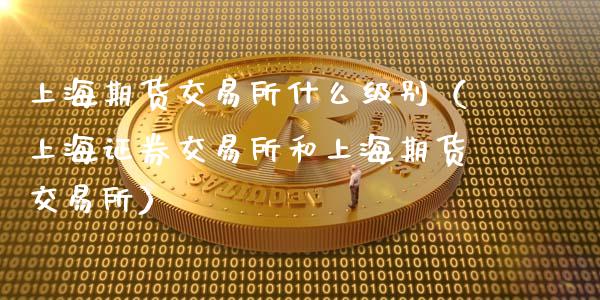 上海期货交易所什么级别（上海证券交易所和上海期货交易所）_https://www.cqckcrrc.com_纳指直播_第1张