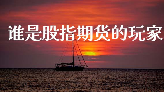 谁是股指期货的玩家_https://www.cqckcrrc.com_原油期货_第1张