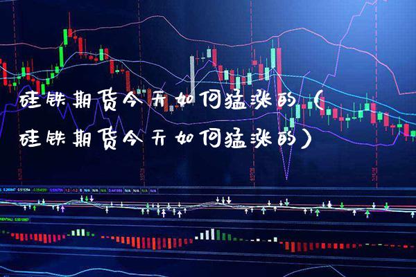 硅铁期货今天如何猛涨的（硅铁期货今天如何猛涨的）_https://www.cqckcrrc.com_道指直播_第1张