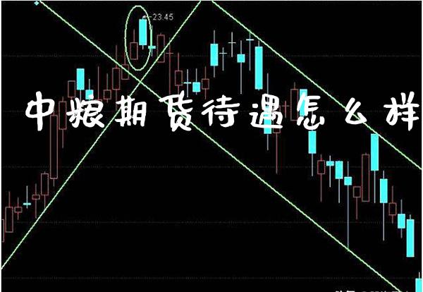 中粮期货待遇怎么样_恒生指数_第1张_期货投资网 中粮期货待遇怎么样_https://www.cqckcrrc.com_恒生指数_第1张