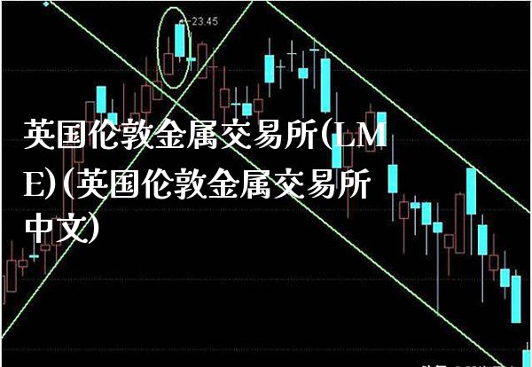 英国伦敦金属交易所(LME)(英国伦敦金属交易所中文)_原油期货_第1张_期货投资网 英国伦敦金属交易所(LME)(英国伦敦金属交易所中文)_https://www.cqckcrrc.com_原油期货_第1张