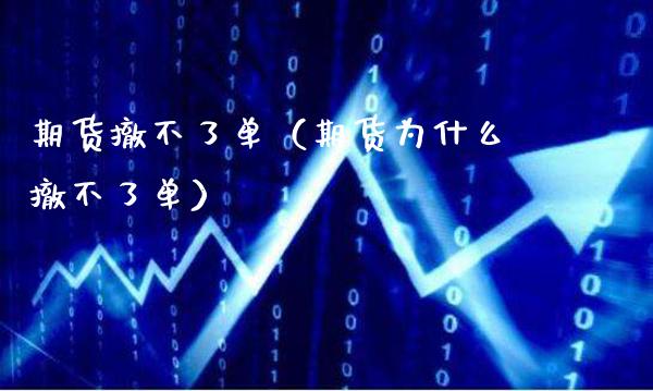 期货撤不了单(期货为什么撤不了单)_期货开户_第1张_期货投资网 期货撤不了单(期货为什么撤不了单)_https://www.cqckcrrc.com_期货开户_第1张