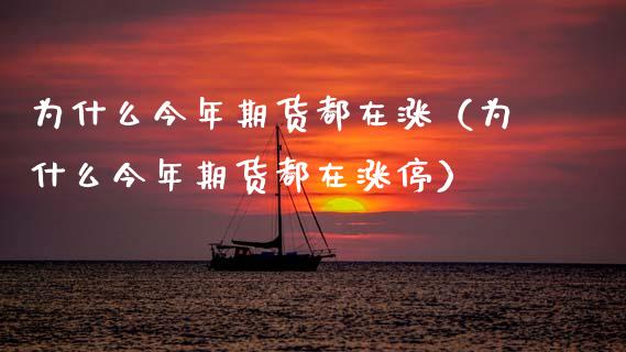为什么今年期货都在涨（为什么今年期货都在涨停）_https://www.cqckcrrc.com_理财品种_第1张