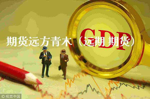 期货远方青木（远期 期货）_https://www.cqckcrrc.com_恒生指数_第1张