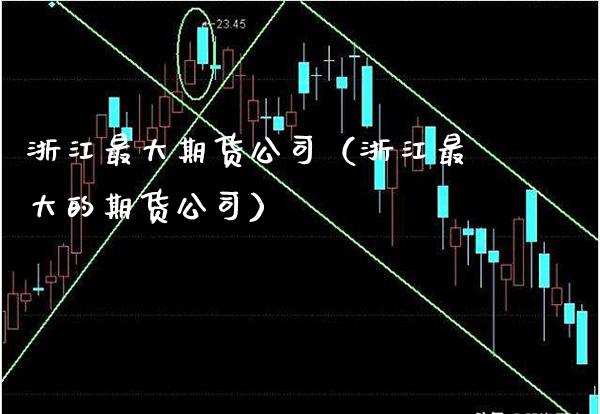 浙江最大期货公司（浙江最大的期货公司）_https://www.cqckcrrc.com_恒生指数_第1张