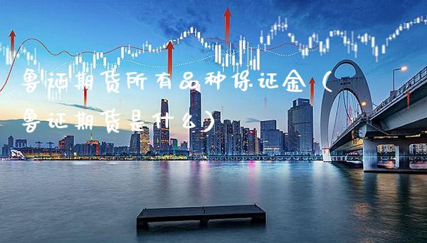 鲁证期货所有品种保证金（鲁证期货是什么）_https://www.cqckcrrc.com_道指直播_第1张