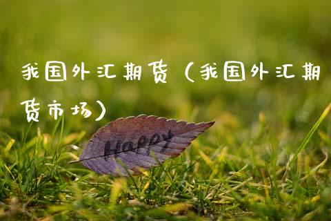 我国外汇期货（我国外汇期货市场）_https://www.cqckcrrc.com_基金理财_第1张
