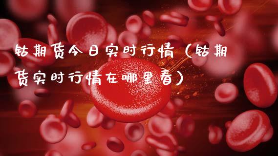 钴期货今日实时行情(钴期货实时行情在哪里看)_财经要闻_第1张_期货投资网 钴期货今日实时行情(钴期货实时行情在哪里看)_https://www.cqckcrrc.com_财经要闻_第1张