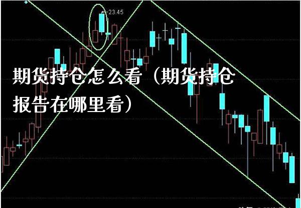 期货持仓怎么看(期货持仓报告在哪里看)_纳指直播_第1张_期货投资网 期货持仓怎么看(期货持仓报告在哪里看)_https://www.cqckcrrc.com_纳指直播_第1张