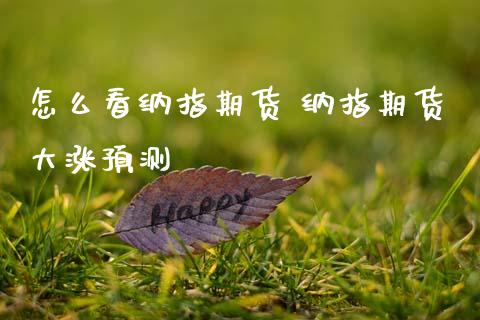 怎么看纳指期货 纳指期货大涨预测_https://www.cqckcrrc.com_纳指直播_第1张