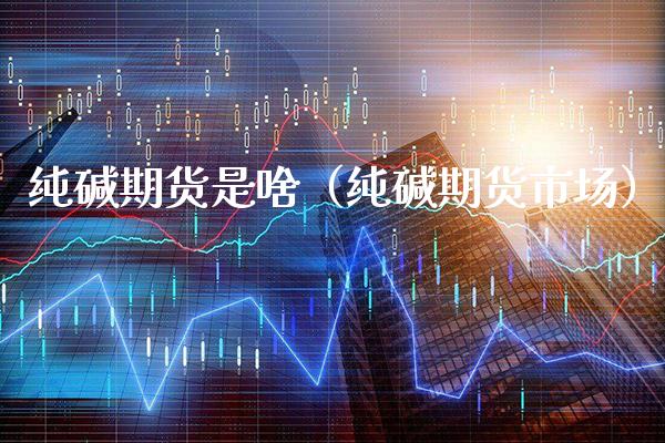 纯碱期货是啥（纯碱期货市场）_https://www.cqckcrrc.com_原油期货_第1张