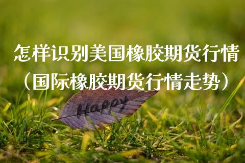 怎样识别美国橡胶期货行情（国际橡胶期货行情走势）_https://www.cqckcrrc.com_黄金期货_第1张