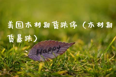 美国木材期货跌停(木材期货暴跌)_基金理财_第1张_期货投资网 美国木材期货跌停(木材期货暴跌)_https://www.cqckcrrc.com_基金理财_第1张